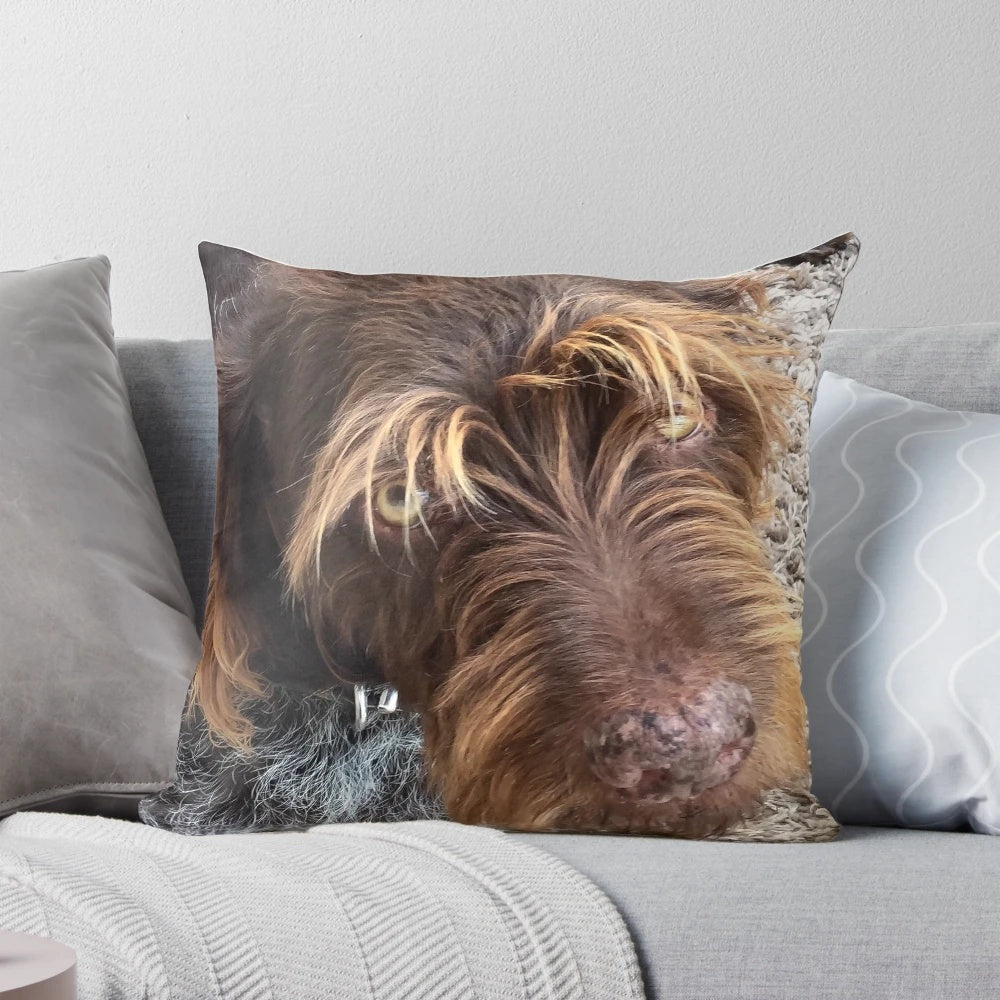 Soft, plush pillow featuring an adorable German Wirehaired Pointer dog