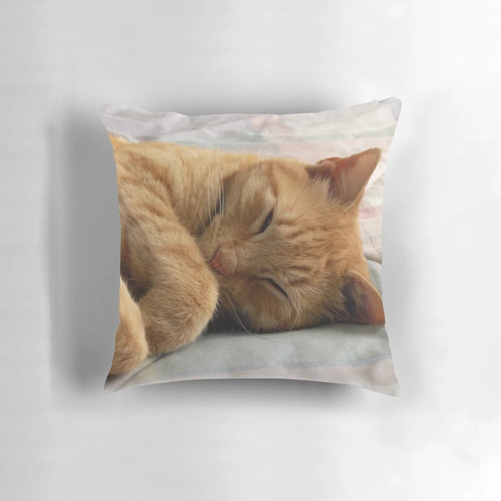 Soft, cuddly ginger cat sleeping on a plush pillow