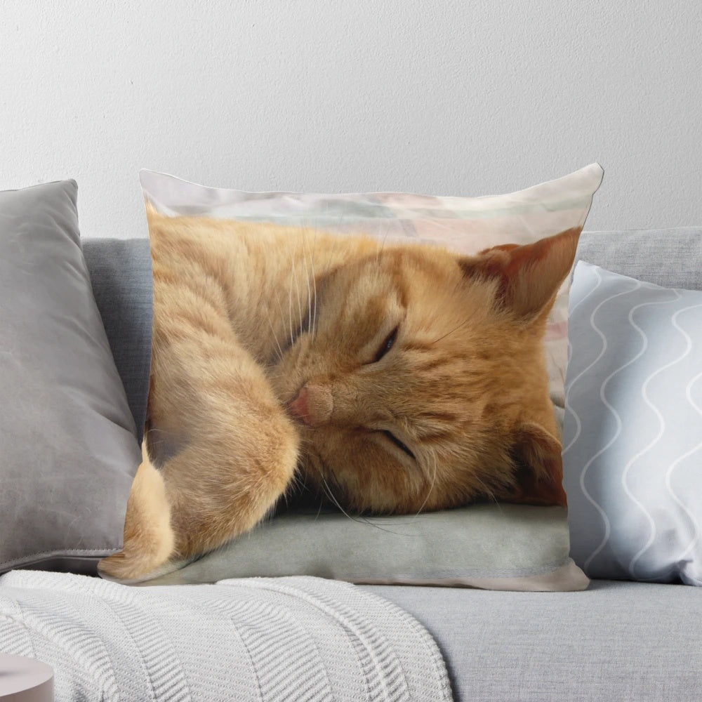 Soft, cuddly ginger cat sleeping on a plush pillow