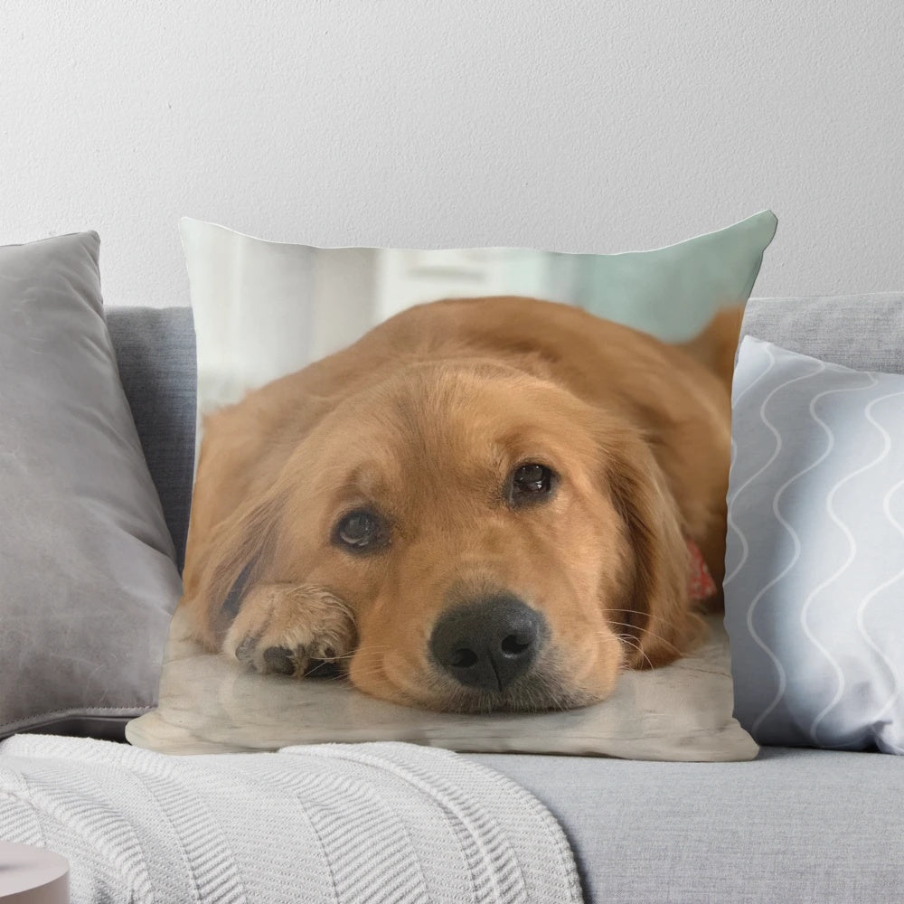 Soft, plush golden retriever pillow with a sweet, adorable dog design