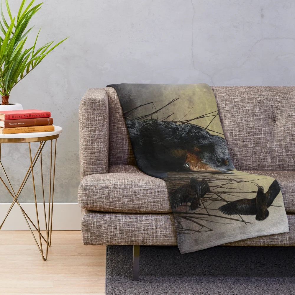 Gordon Setter dog on a plush blanket