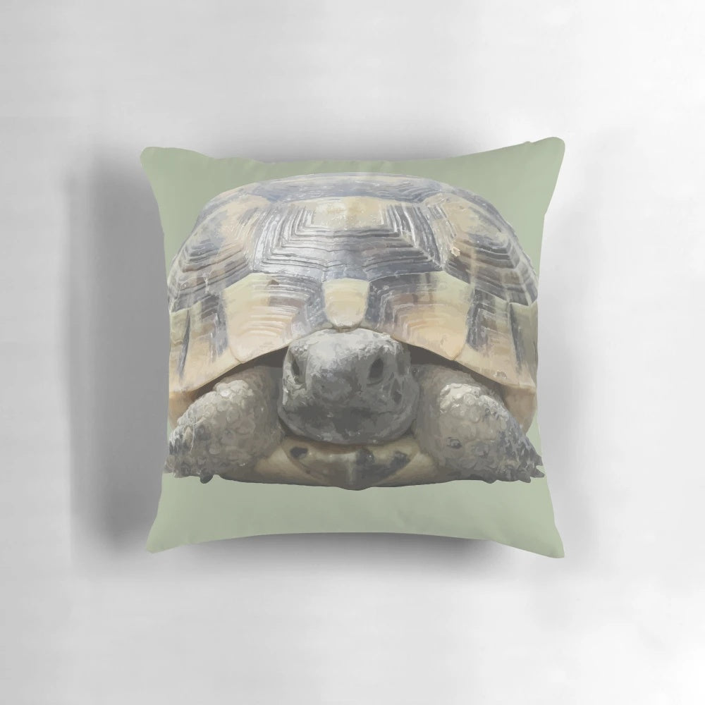 A plush pillow featuring a cut-out of a Greek tortoise (Testudo) tucked cozily into its shell
