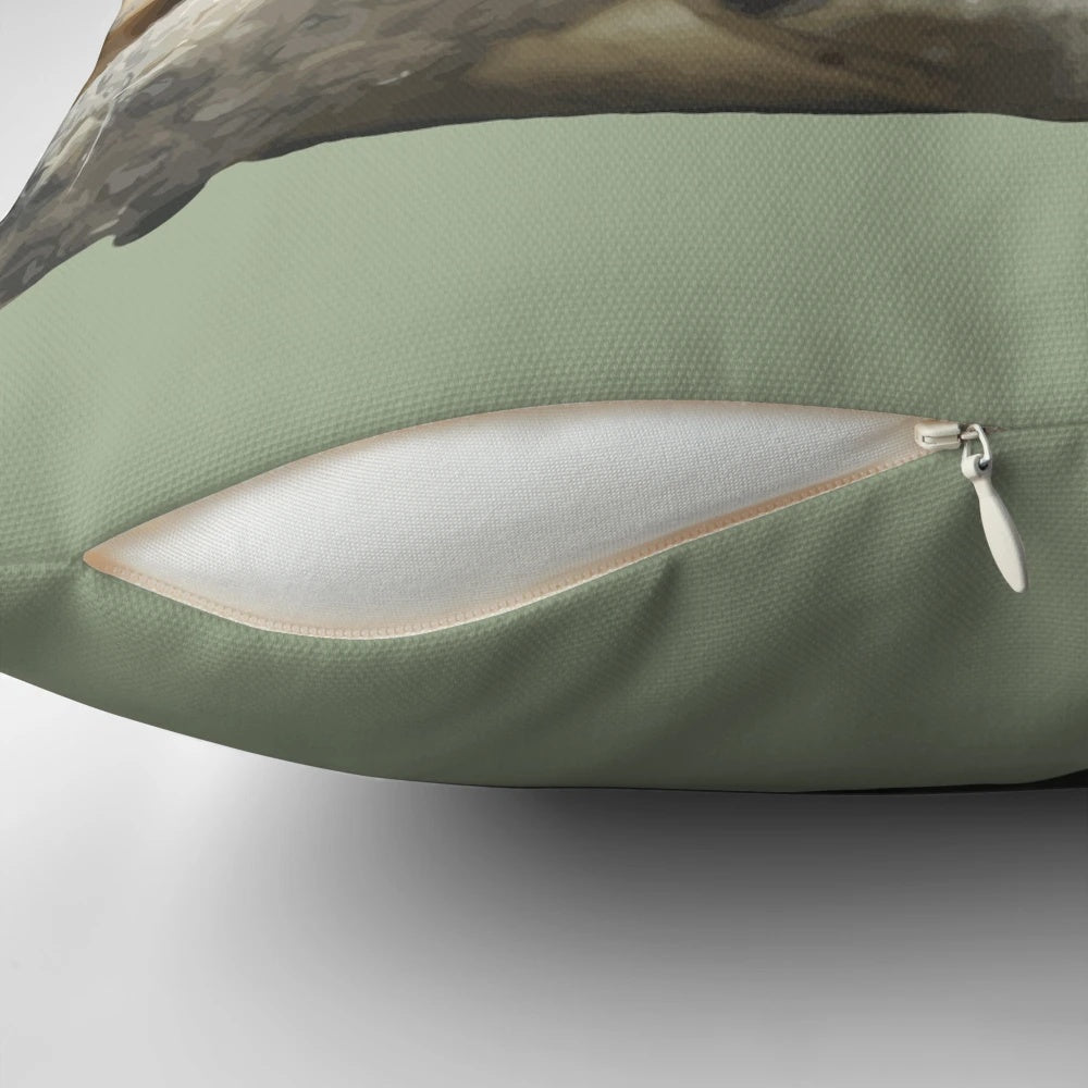 A plush pillow featuring a cut-out of a Greek tortoise (Testudo) tucked cozily into its shell