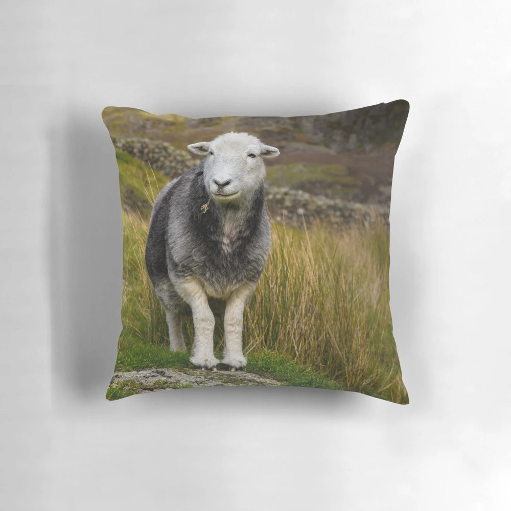A grey and white herdwick sheep pillow, perfect for any sheep lover or farm decor.