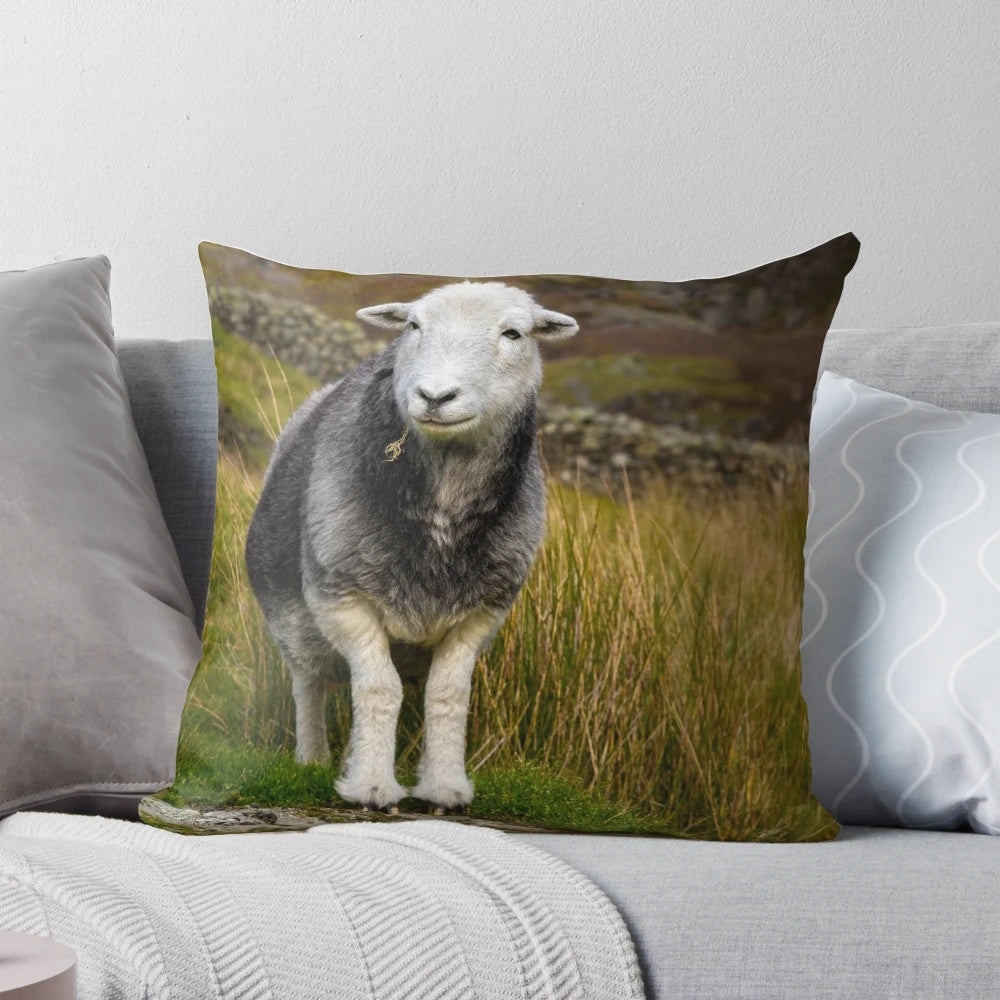 A grey and white herdwick sheep pillow, perfect for any sheep lover or farm decor.