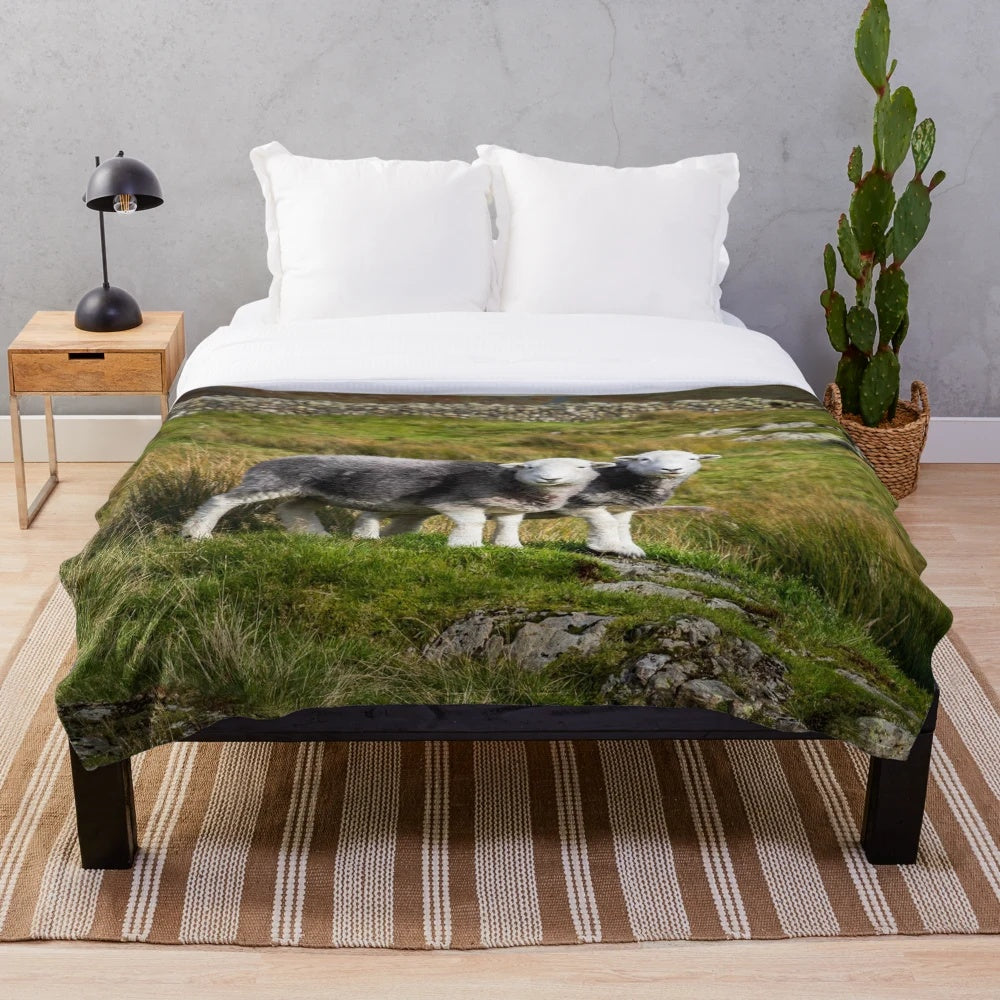 Herdwick sheep in a scenic Lake District landscape on a soft, plush blanket