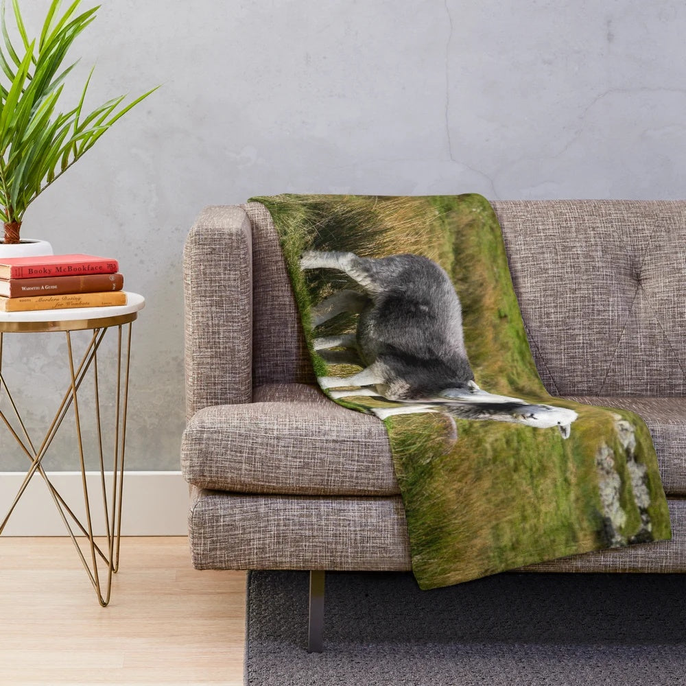 Herdwick sheep in a scenic Lake District landscape on a soft, plush blanket