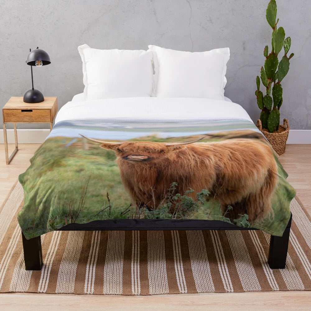 Plush blanket featuring a long-haired highland cow, a traditional Scottish highland cow