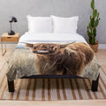 Plush blanket featuring a highland cow portrait