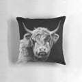 Image of a hairy highland cow in black and white