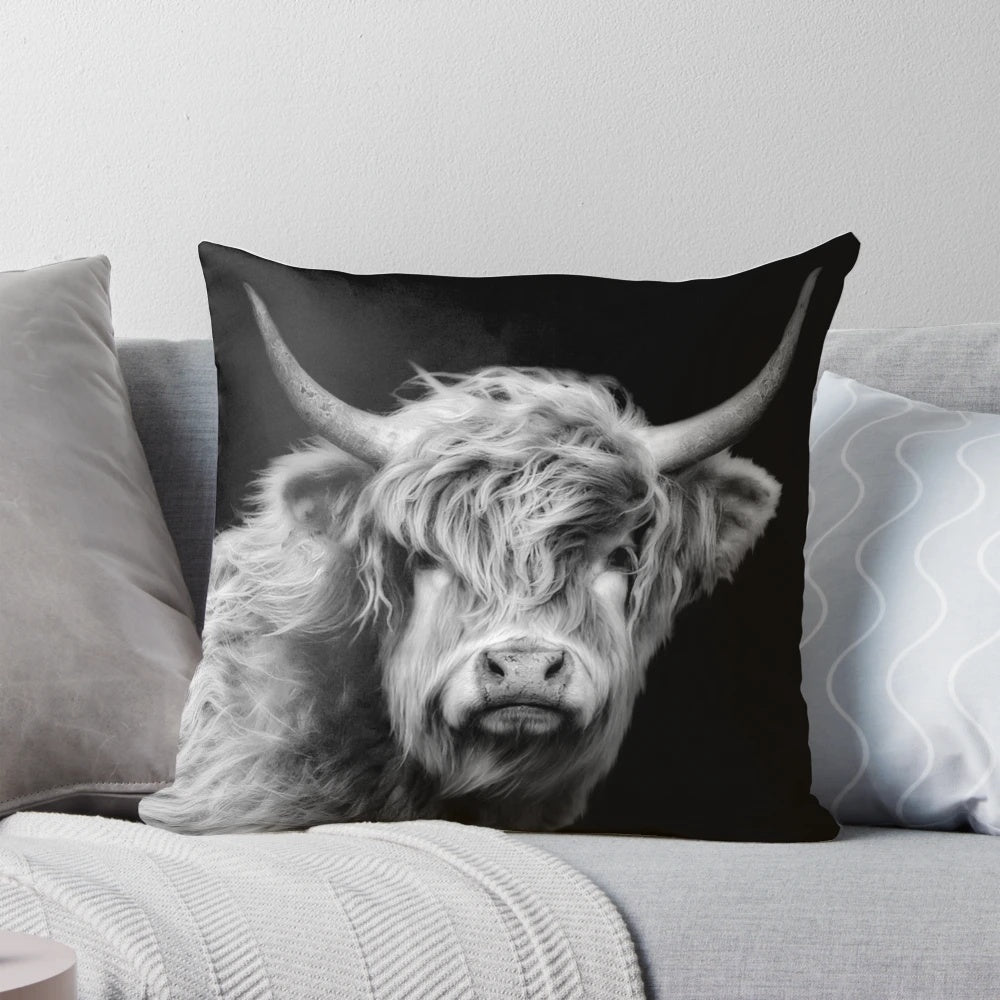 Image of a hairy highland cow in black and white