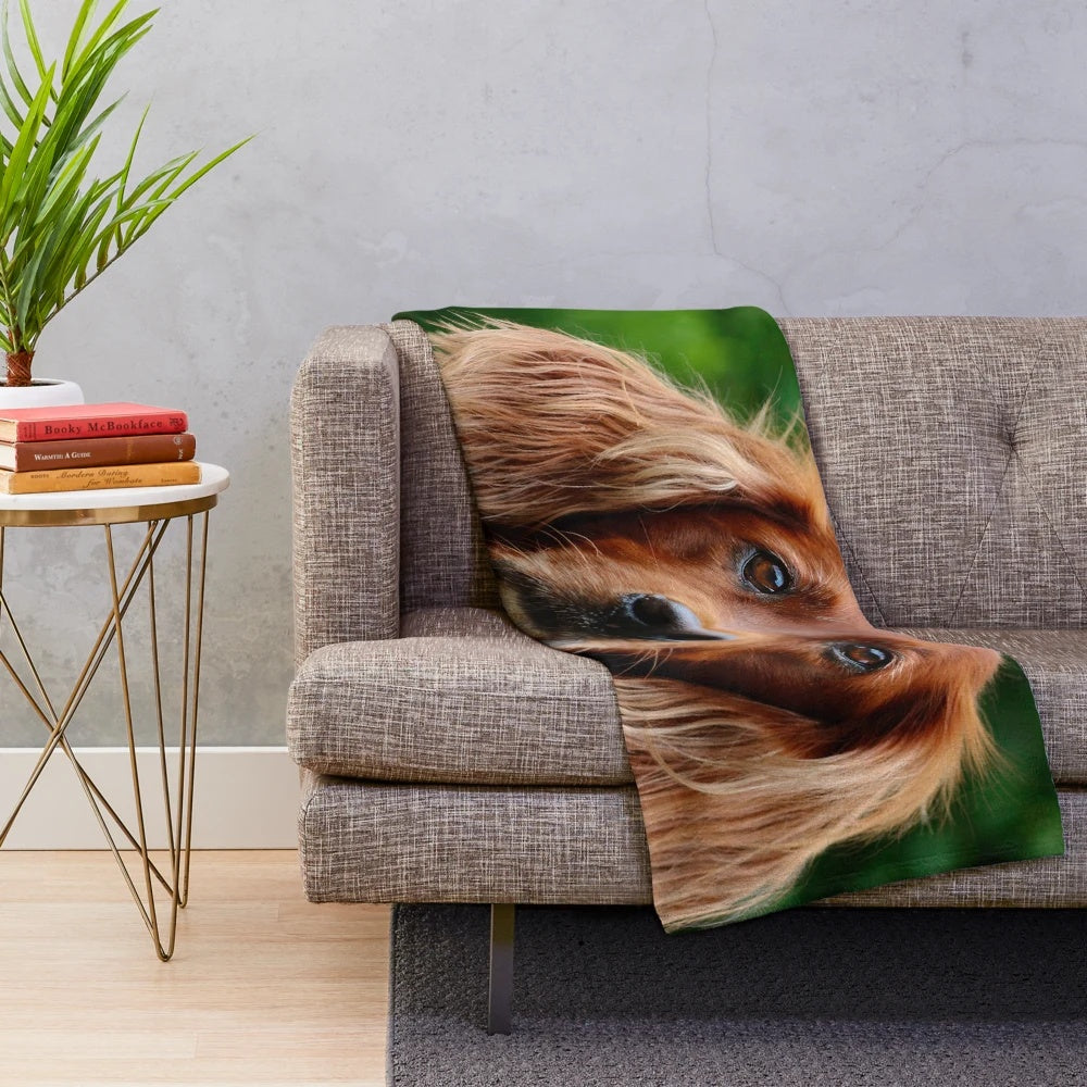 Irish Setter dog portrait on a plush blanket