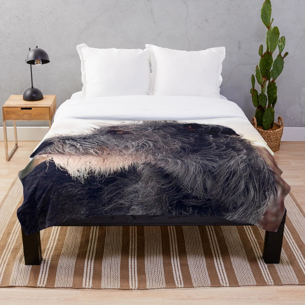 Irish Wolfhound Plush Blanket in Winter Wonderland Design