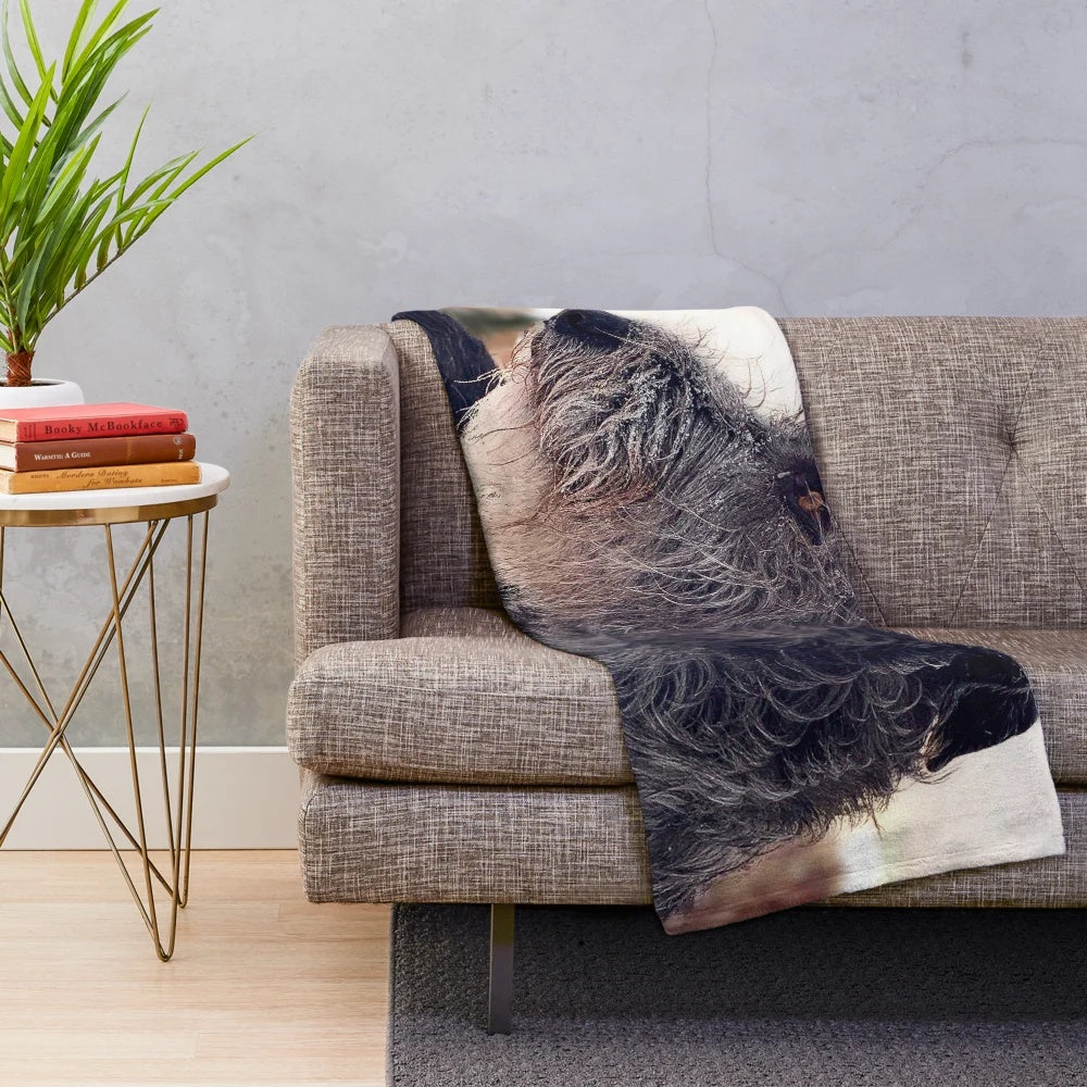 Irish Wolfhound Plush Blanket in Winter Wonderland Design