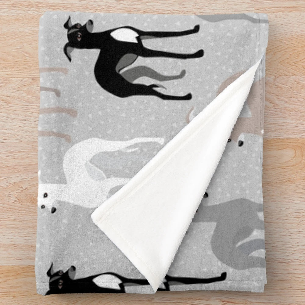 Italian Greyhound Plush Blanket with Variety of Breed Colors