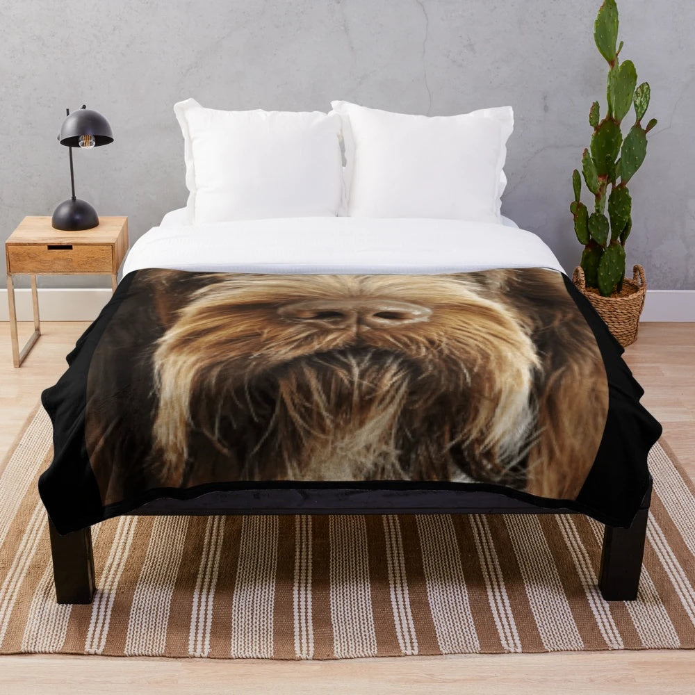 Italian Spinone dog breed plush blanket