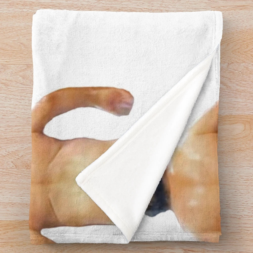 Cozy plush blanket inspired by the hit TV show "It's Always Sunny in Philadelphia" featuring the character Frank Reynolds