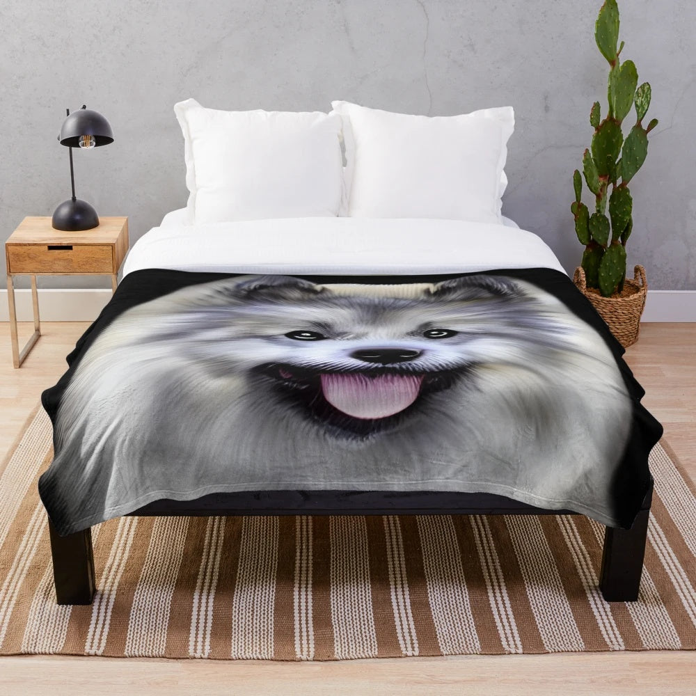 Cute Keeshond dog on a soft, plush blanket