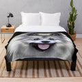 Cute Keeshond dog on a soft, plush blanket