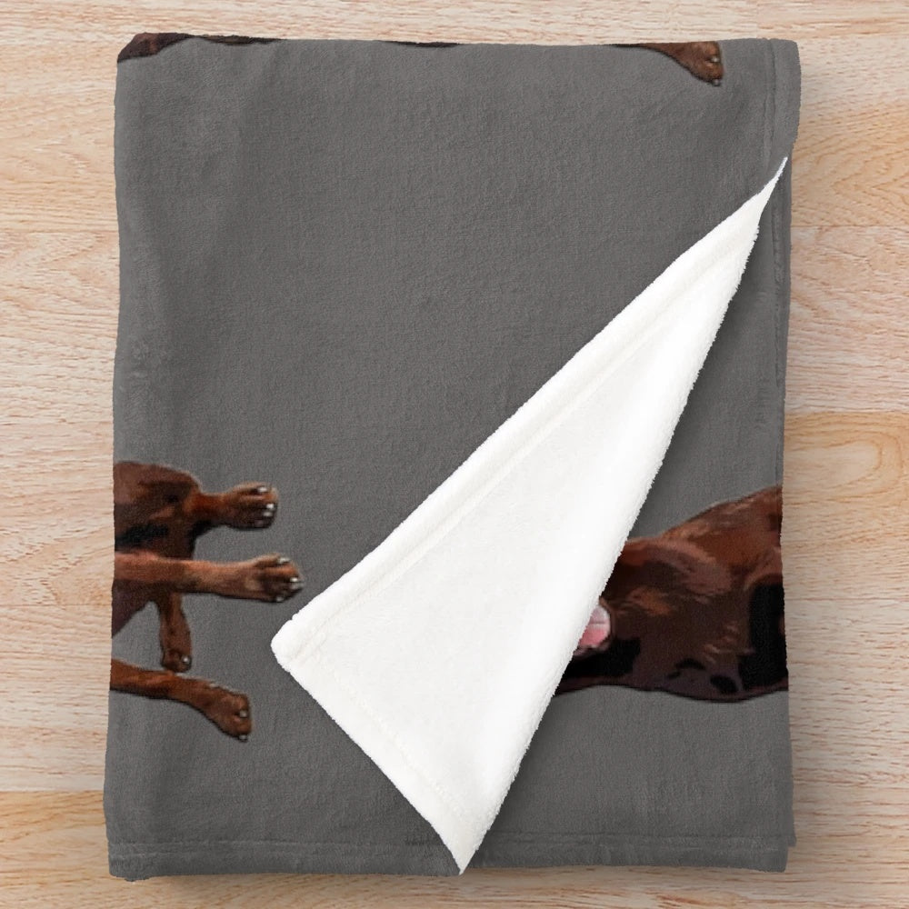 Kelpie dog plush blanket with retro Australian shepherd-inspired design