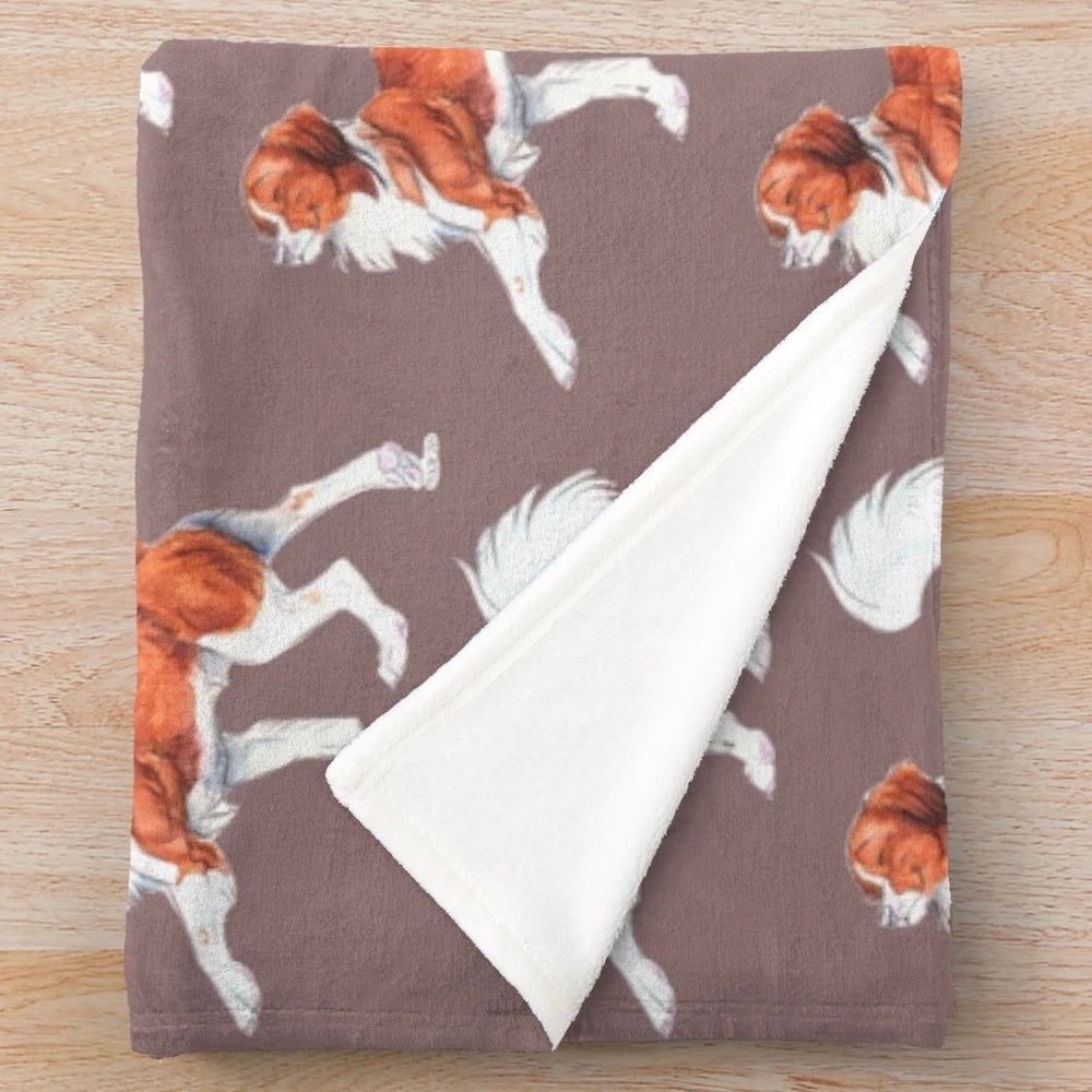 Kooikerhondje dog breed plush blanket
