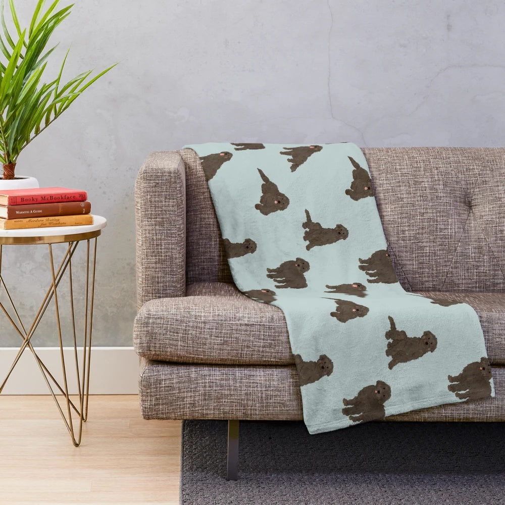 Labradoodle black doodle dog on a plush blanket