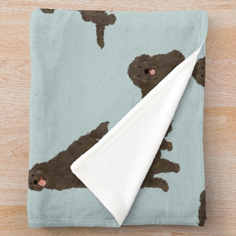 Labradoodle black doodle dog on a plush blanket