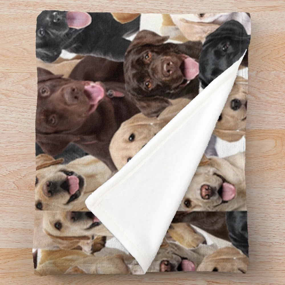 Soft and Plush Labrador Dog Blanket