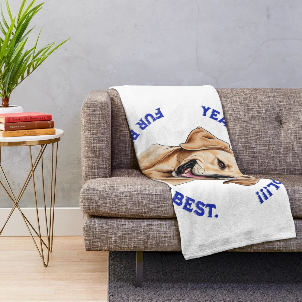 Labrador Retriever dog on a soft and plush blanket