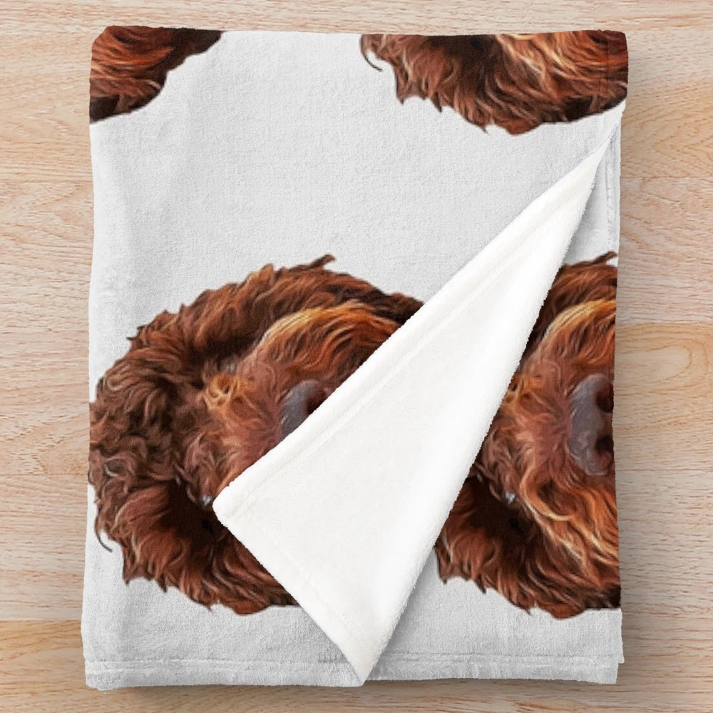 Soft and Cuddly Lagotto Romagnolo Plush Blanket