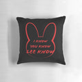 Soft and snuggly pillow featuring the Stray Kids member Lee Know