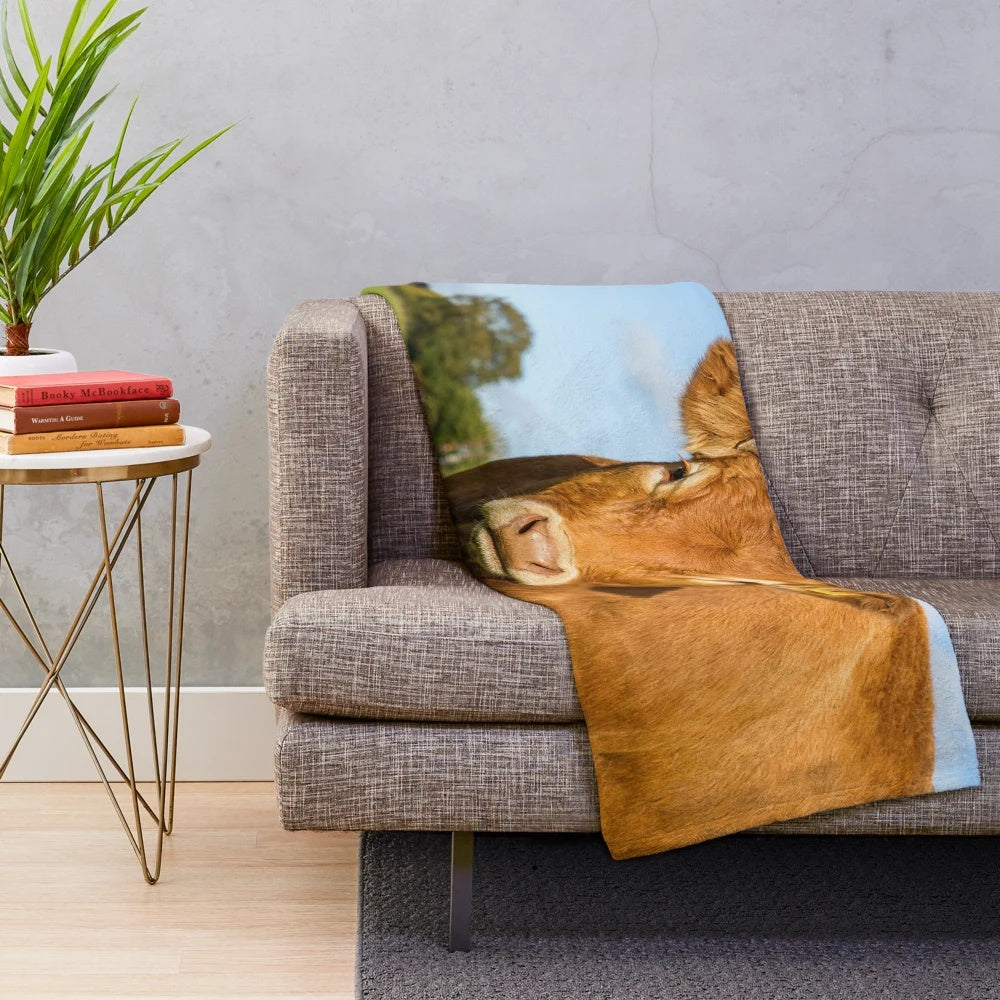 Soft and plush limousin cow blanket for a cozy, rustic farmhouse look