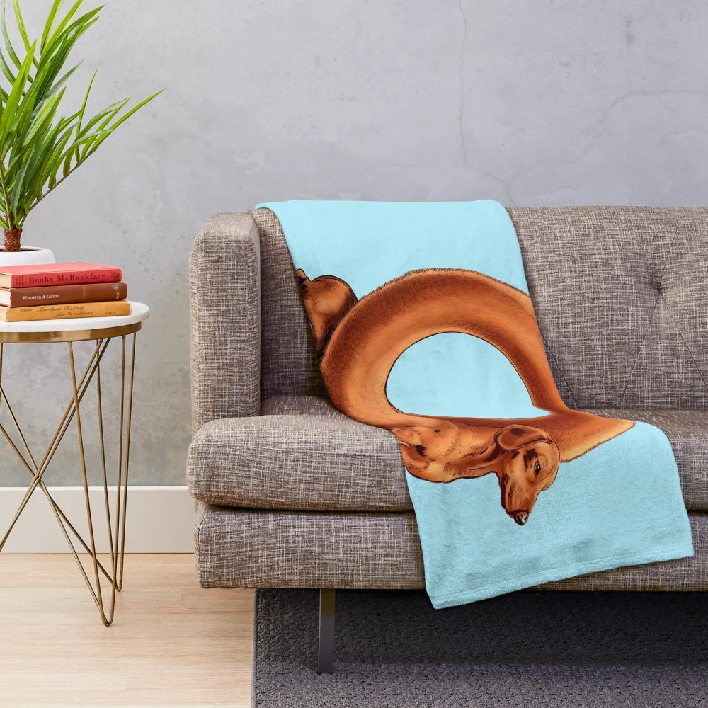 Soft and cuddly loop dog plush blanket