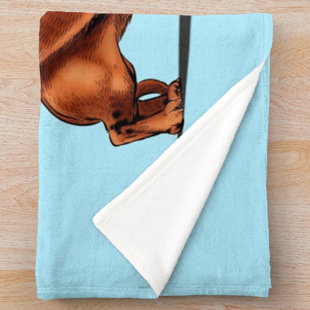 Soft and cuddly loop dog plush blanket