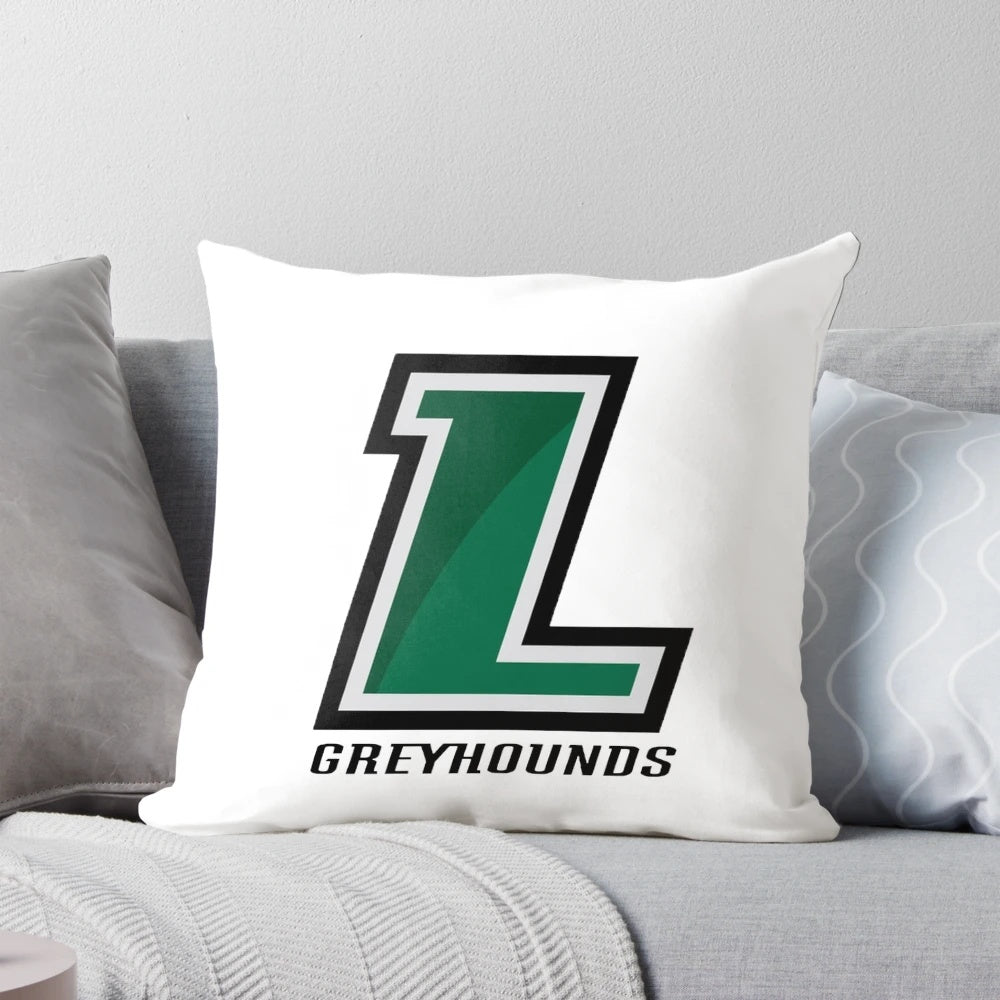 Loyola Greyhounds college pillow with cute, relatable design
