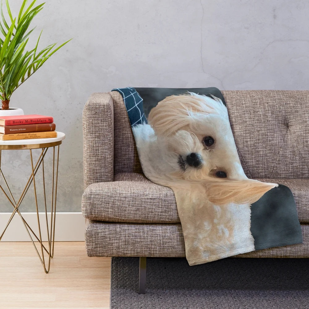 Adorable white maltipoo dog with long silky hair on a plush blanket