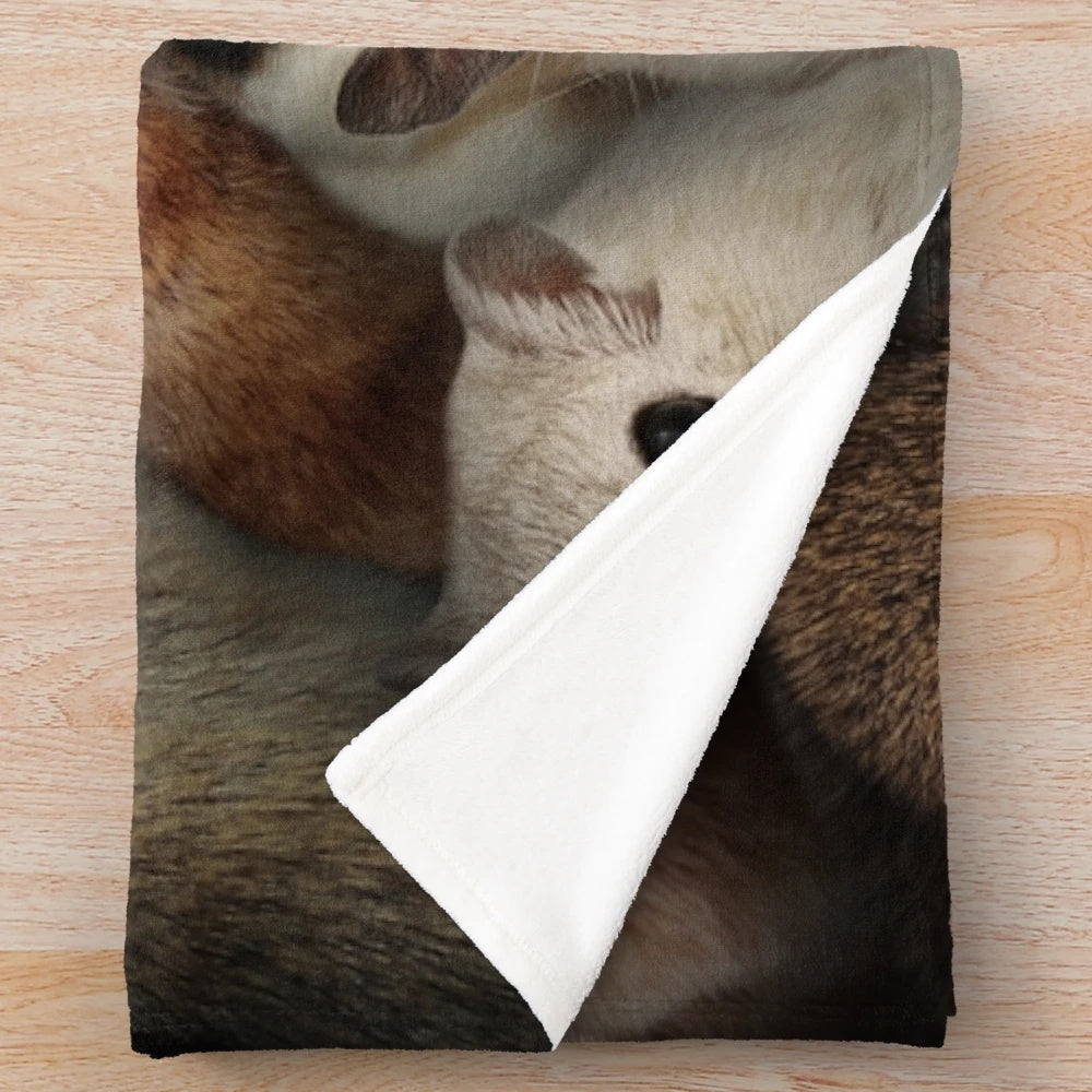 Cute mice plush blanket