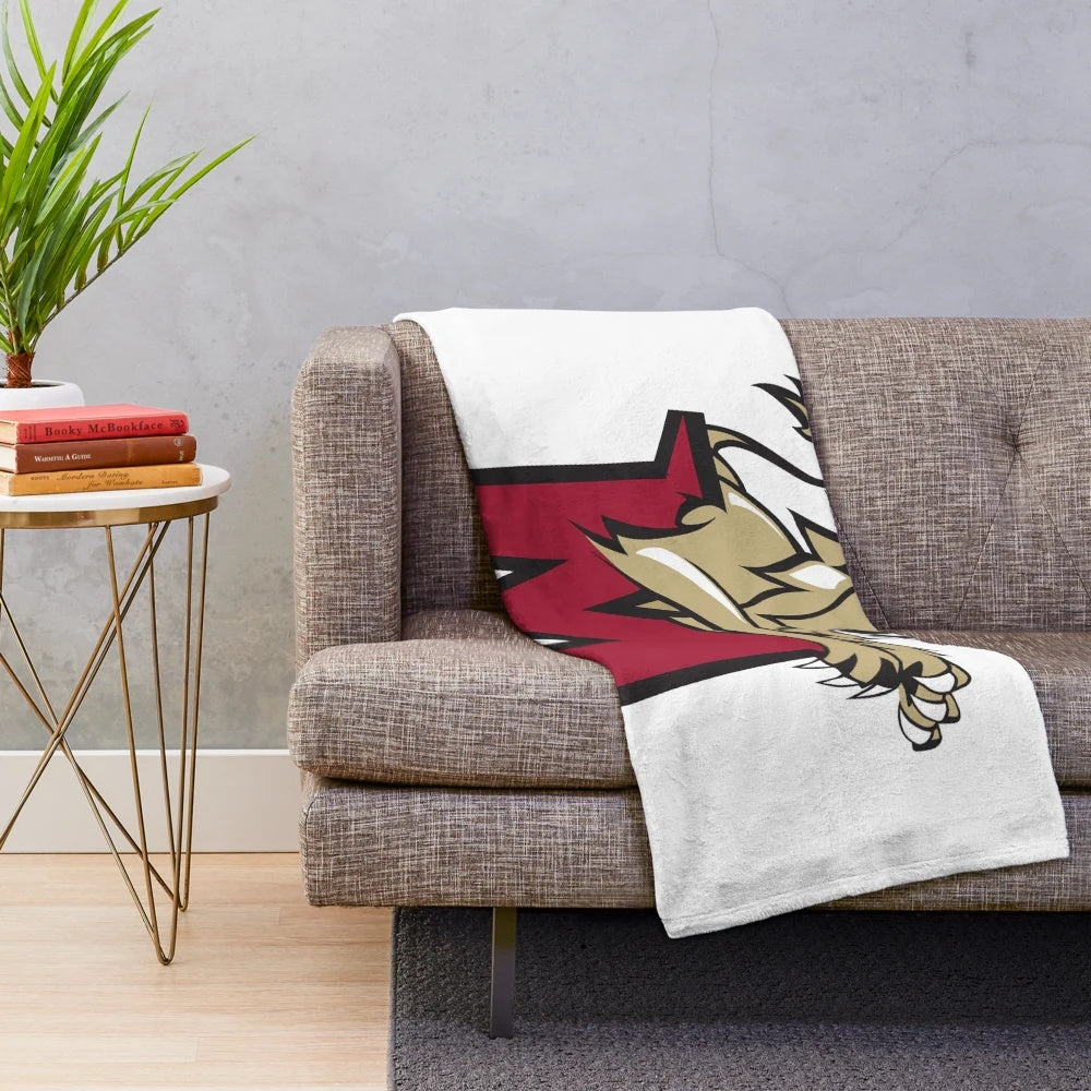 Molloy College Lions Plush Blanket