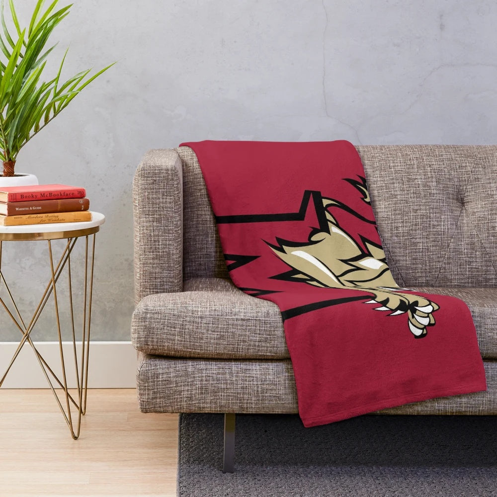 Molloy College plush blanket featuring the university logo and colors