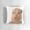 Cozy and Cute Mouse Pillow for Bedroom, Living Room or Office Decor