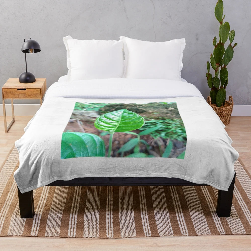 Natural leaf plush blanket with tropical and botanical design