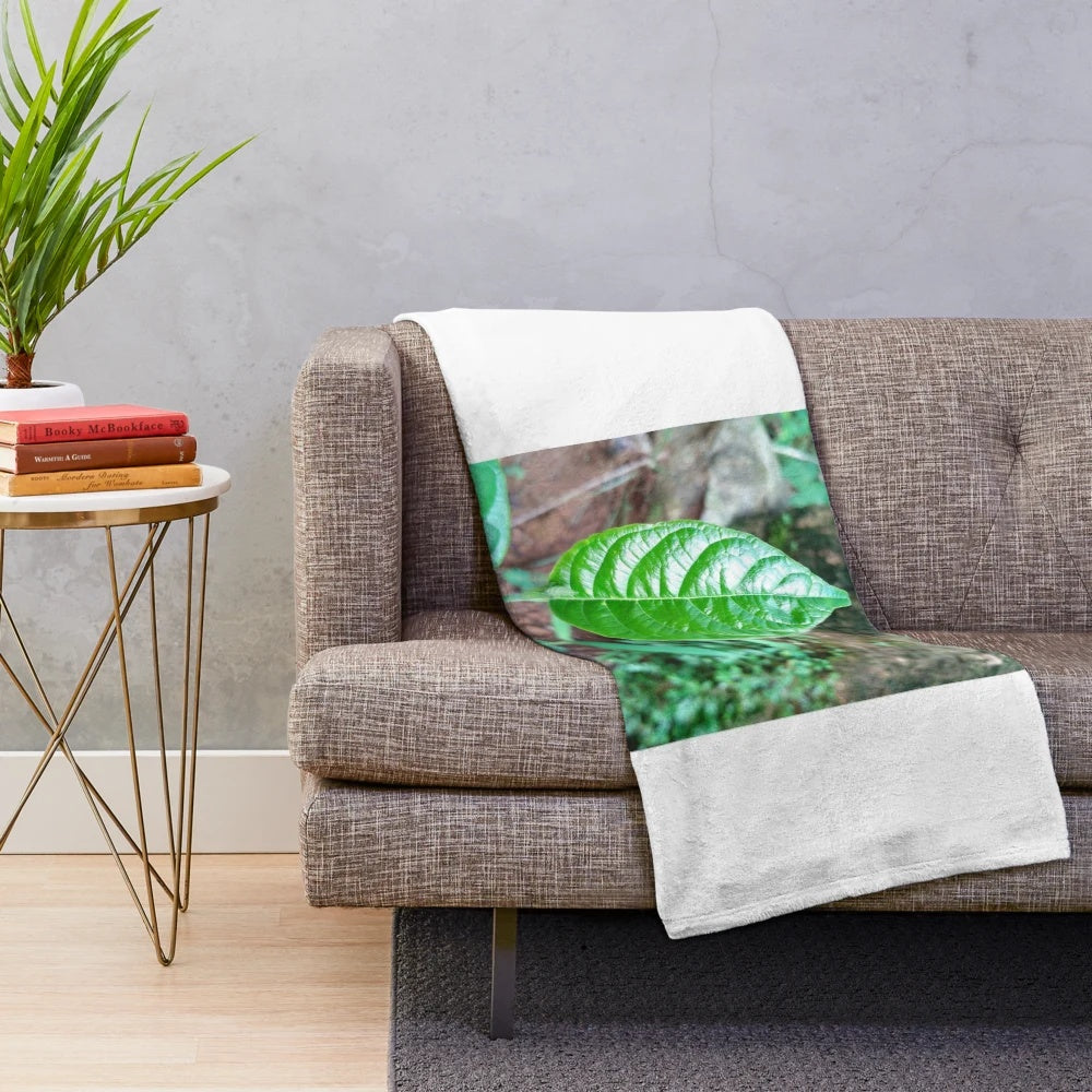 Natural leaf plush blanket with tropical and botanical design