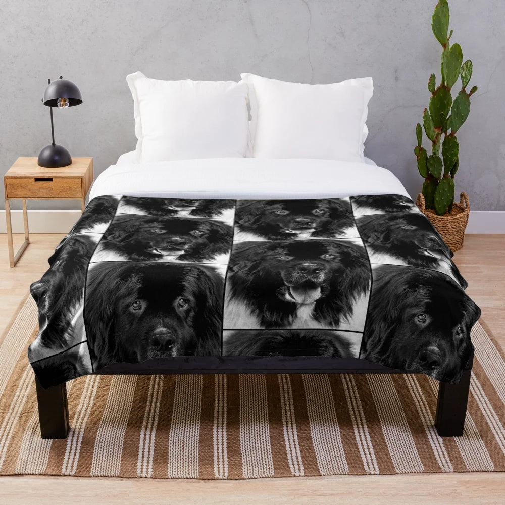 Newfoundland dog portrait in black and white photography printed on a plush blanket
