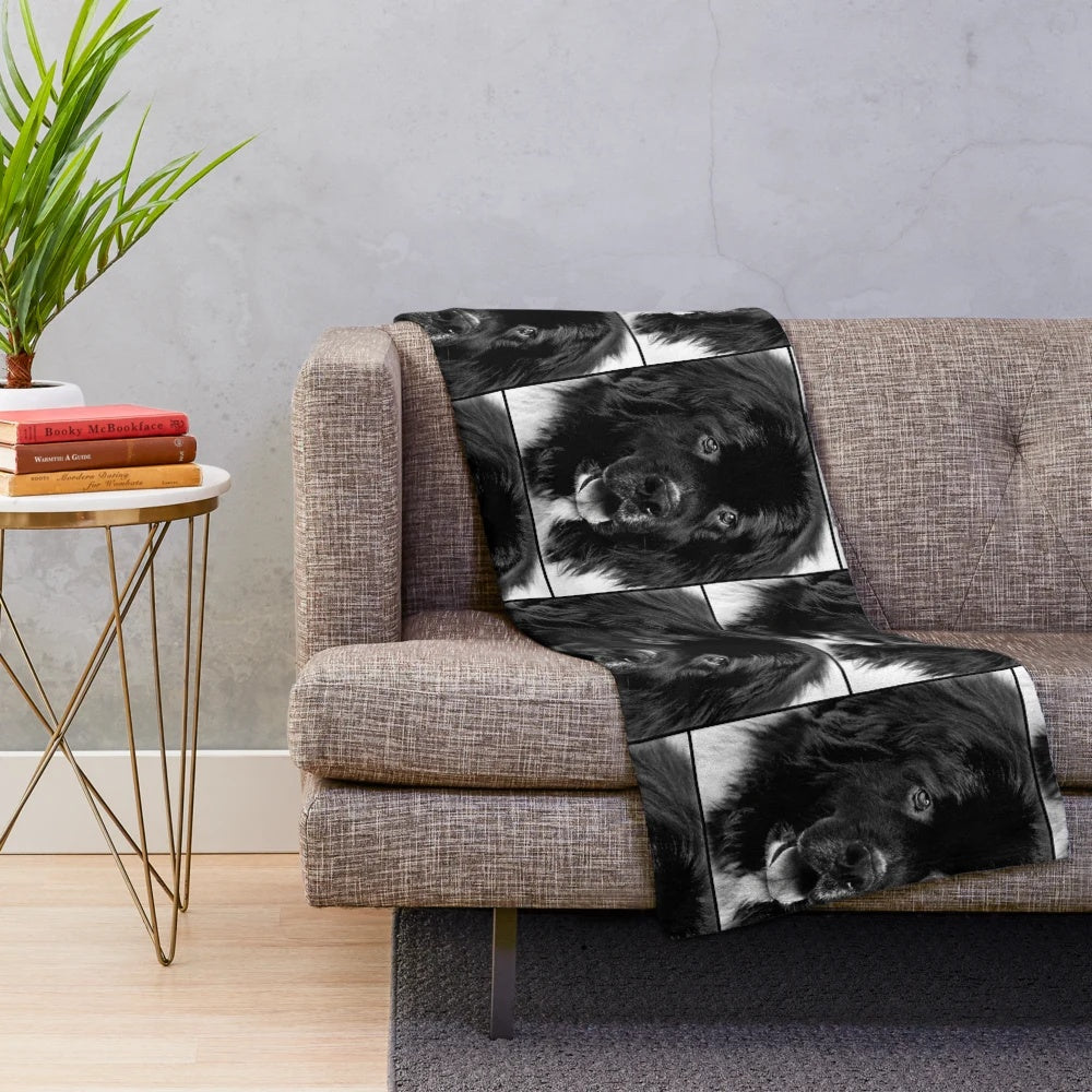Newfoundland dog portrait in black and white photography printed on a plush blanket