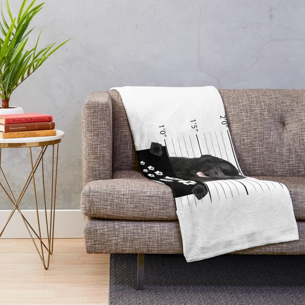 Newfoundland dog cuddling on a soft, plush blanket
