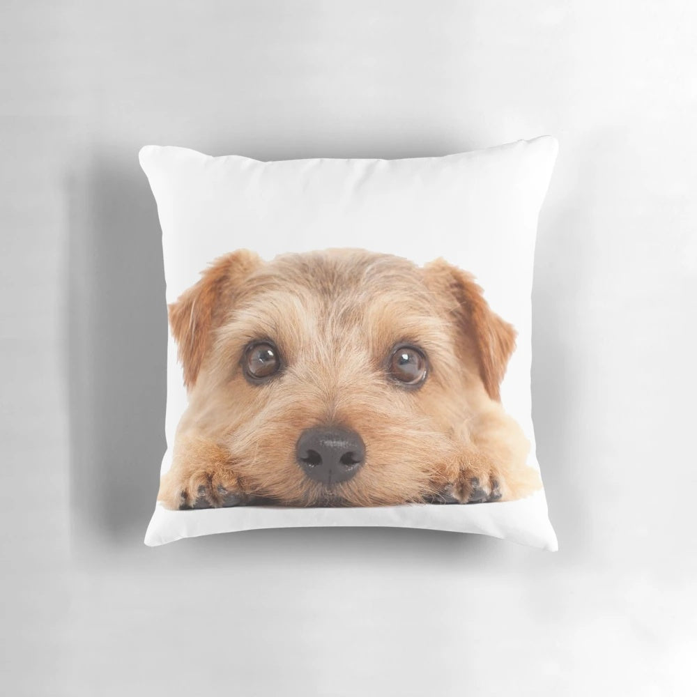 Soft, plush Norfolk Terrier breed decorative pillow with paw print design.