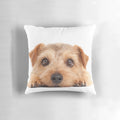 Soft, plush Norfolk Terrier breed decorative pillow with paw print design.
