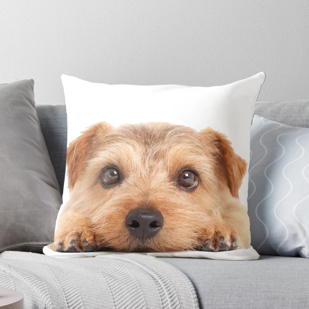Soft, plush Norfolk Terrier breed decorative pillow with paw print design.