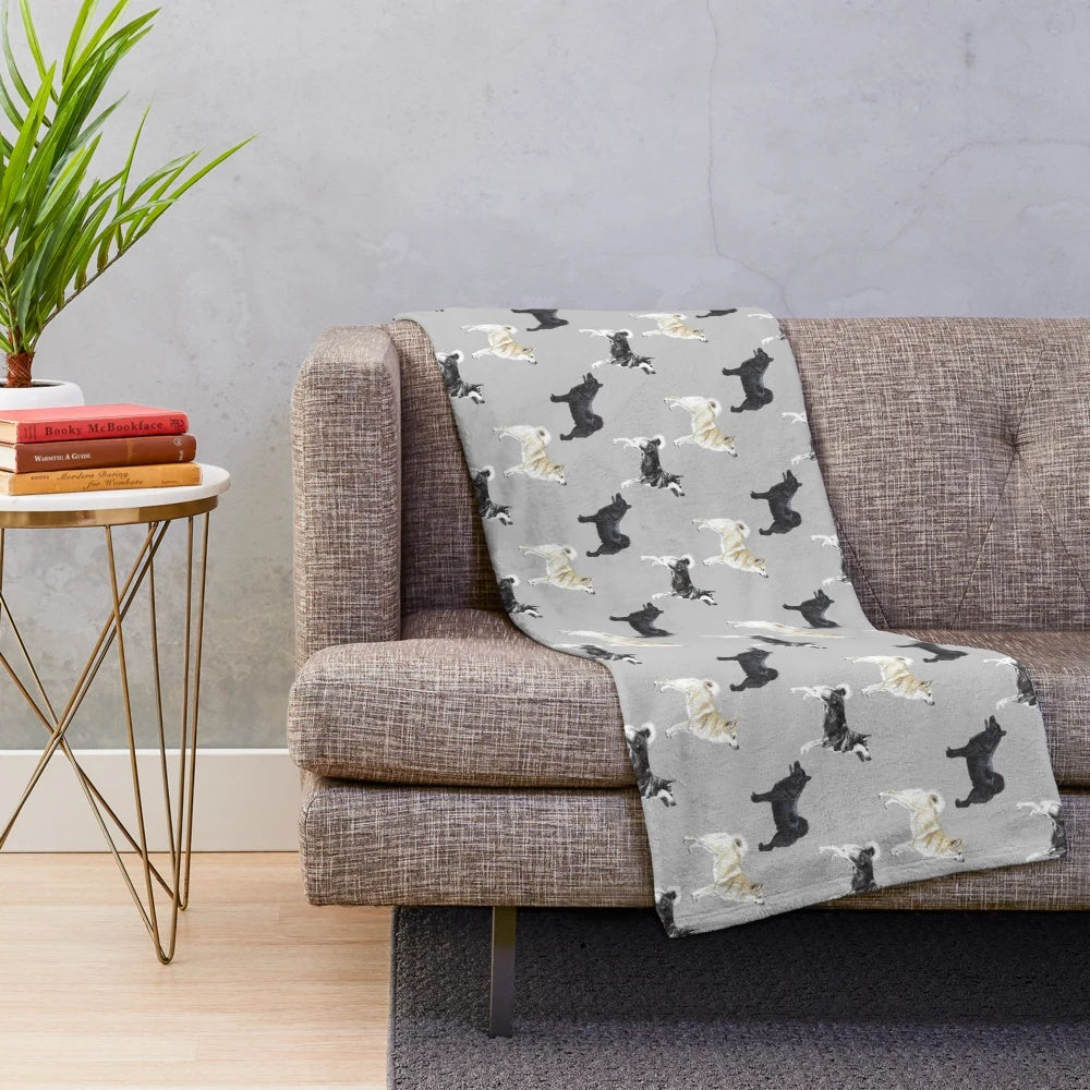 Norwegian Buhund dog breed featured on a plush, soft blanket