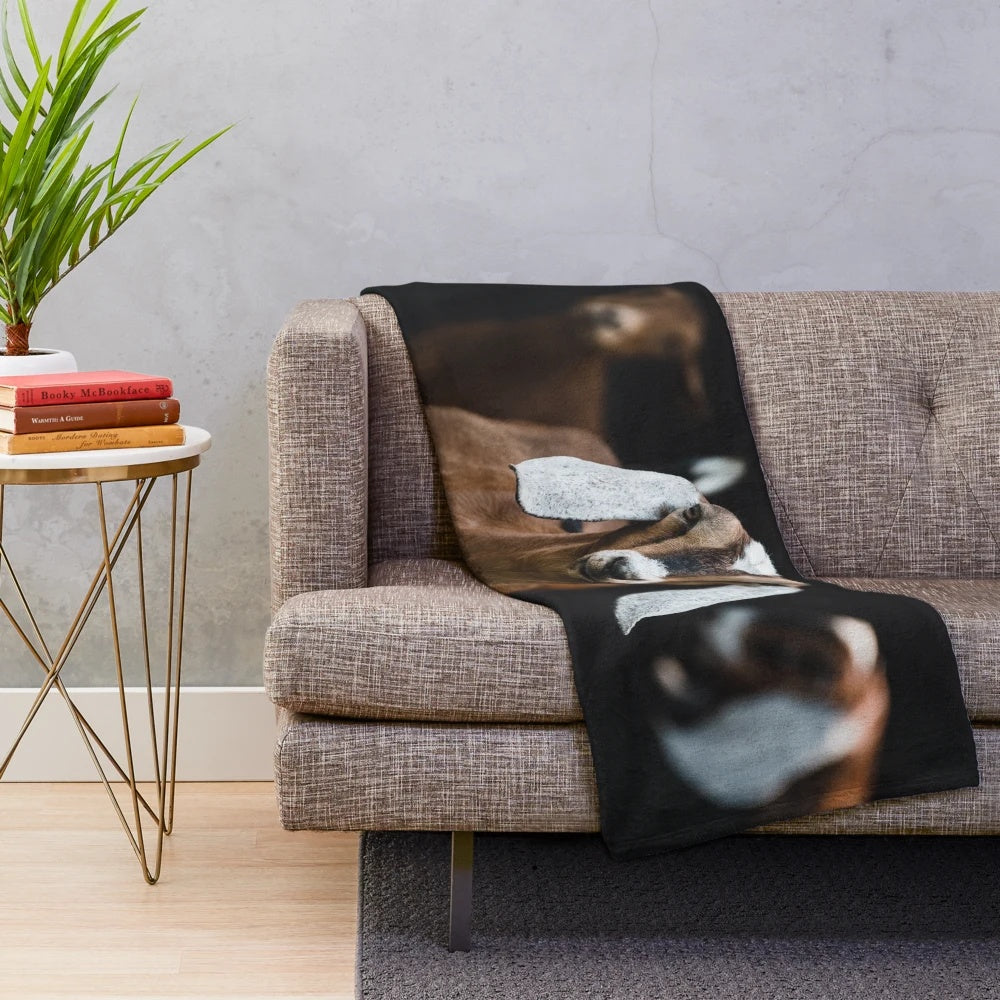 Nubian goat plush blanket